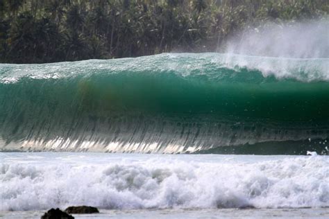 Playalinda magicseaweed. Things To Know About Playalinda magicseaweed. 